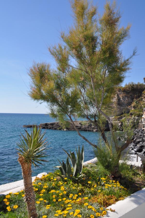 La Citarea * Forio (Isola d'Ischia)