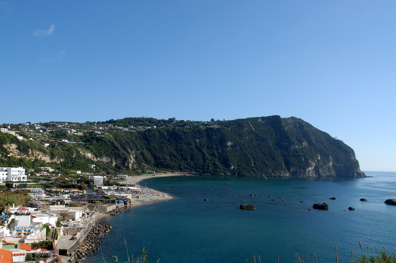 La Citarea Forio (Isola d'Ischia)